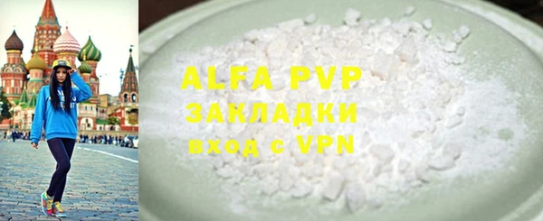 гашик Алексин