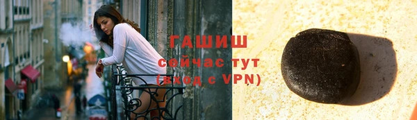 гашик Алексин