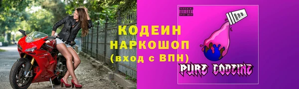 гашик Алексин