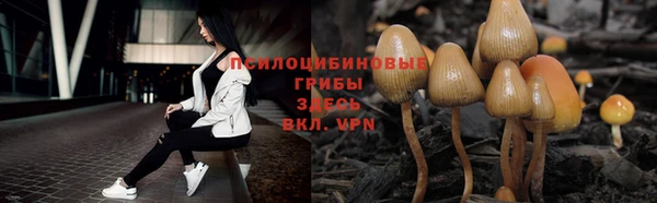 дмт Алексеевка