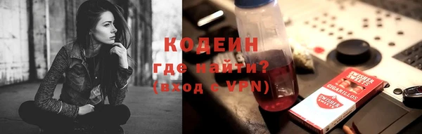 гашик Алексин