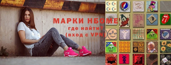 гашик Алексин