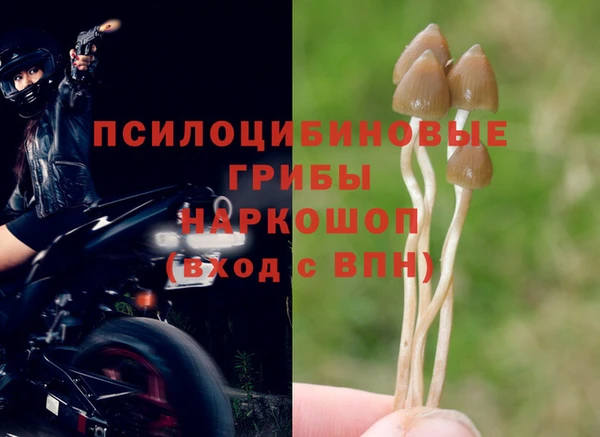 дмт Алексеевка