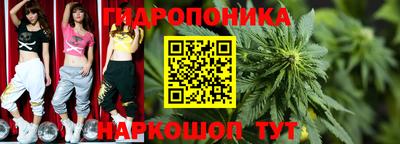 кокс Тула