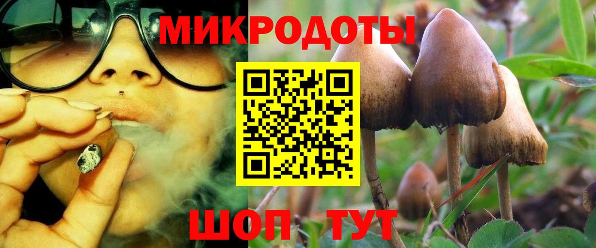 Псилоцибиновые грибы Cubensis  Псилоцибиновые грибы Psilocybe  Вход с VPN  Подольск 
